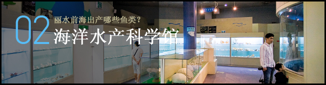 丽水前海出产哪些鱼类？ 全南海洋水产科学馆