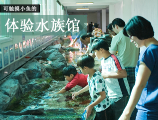 可触摸小鱼的体验水族馆