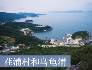 荏浦村和乌龟浦