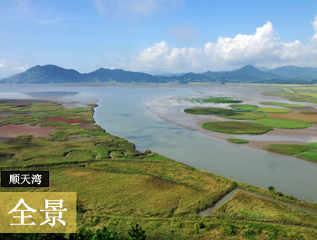 顺天湾 全景