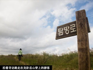 沿着寻访路走在龙卧岳山脊上的游客