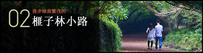 02 漫步绿茵繁茂的. 榧子林小路