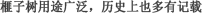 榧子树用途广泛，历史上也多有记载