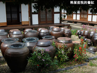 韩屋前院的酱缸