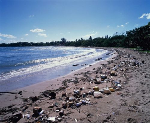 全球10大最佳和最不宜前往的海滩