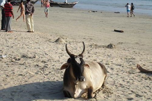 全球10大最佳和最不宜前往的海滩