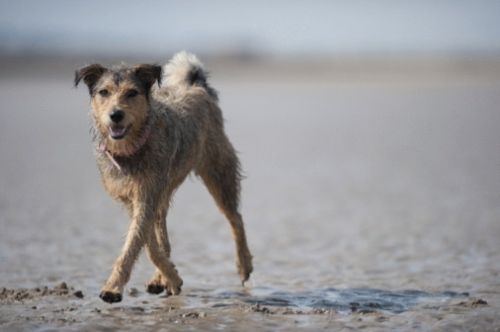 全球10大最佳和最不宜前往的海滩