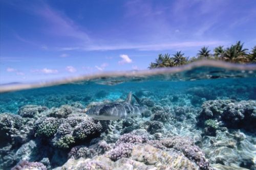 全球10大最佳和最不宜前往的海滩